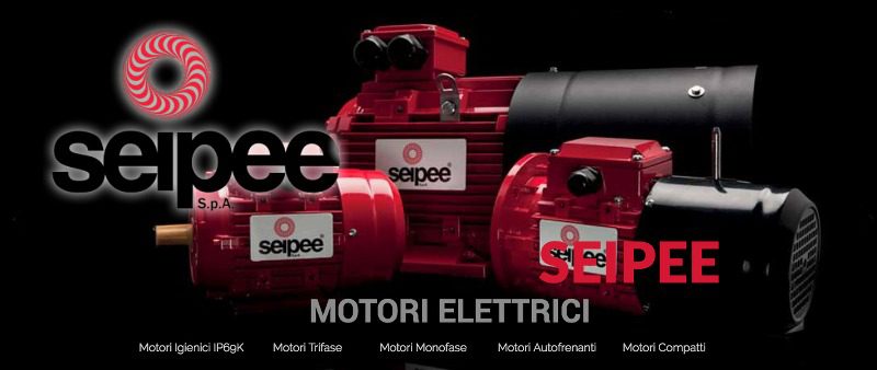 seipee-motori-elettrici_800x338